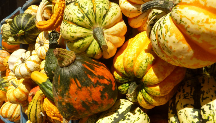 Hierschtfest zu Dikrich - IMG 1