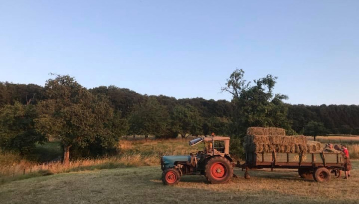 Trakter Geschichten mam Potty Lotty - IMG 1